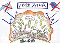 バイオフィルム イメージ1