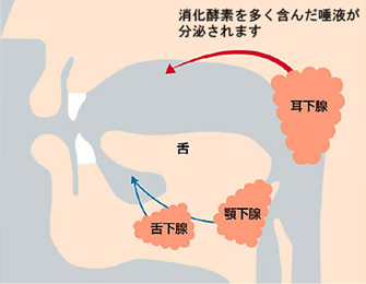 対処方法